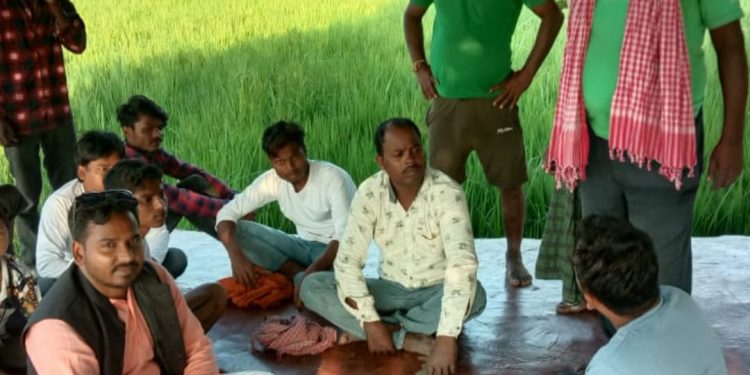 प्रतिनिधि सभा सदस्य प्रत्याशी पंजियार घरदैलोमा ब्यस्त