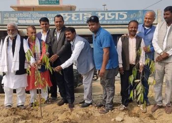 युवा संघद्वारा बृक्षारोपन