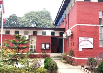 मधेश सरकारले क्रिकेटर झा र शेखलाई २–२ लाख रुपैयाँ दिने