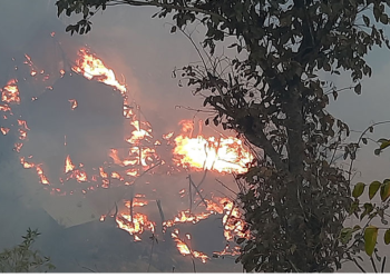 आगो निभाउने क्रममा एक बालकको मृत्यु