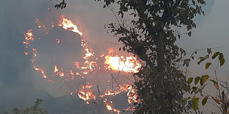 आगो निभाउने क्रममा एक बालकको मृत्यु
