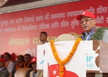 आफूहरुलाई ३२ सिटे भनेर हेप्ने गरिएको छ : प्रचण्ड