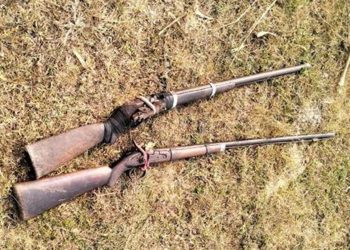 भरुवा बन्दुकसहित तीनजना पक्राउ