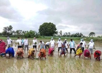 आज  राष्ट्रिय धान दिवस बिभिन्न कार्यक्रम गरि मनाइँदै