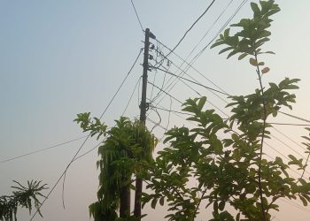 विद्युतको लाईन मर्मतमा ढिलाई, स्थानीय गर्मीमै बस्न बाध्य