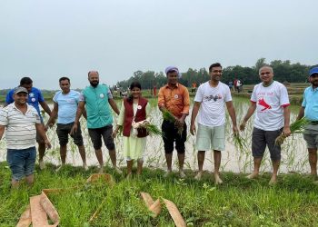 जनमतका मन्त्री र सांसदहरुले रोपिदिए किसानको धान