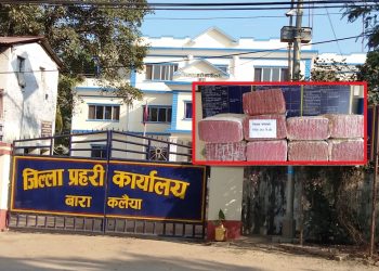 मधेश प्रदेशमा ठुलो परिमाणमा लागु औषध गाँजा बरामद