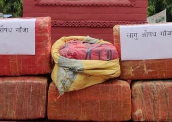 सशस्त्र प्रहरीले महोत्तरीबाट गरे ८० किलो गाँजा बरामद