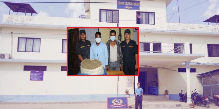 मधेश प्रदेश : गाँजासहित दुईजना पक्राउ