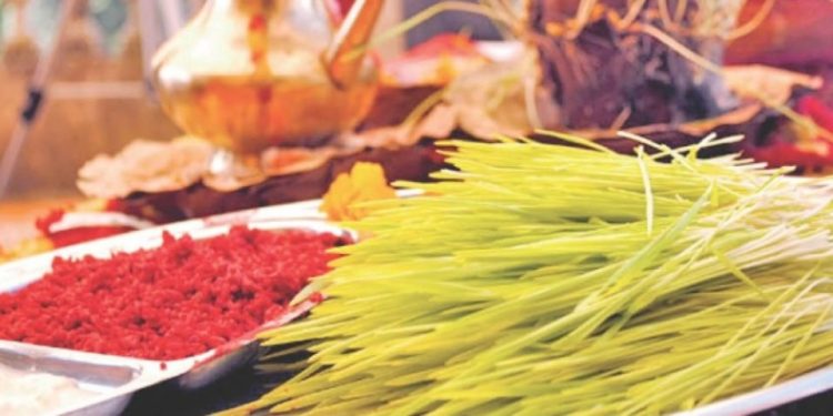 आज विजया दशमी, टीका र जमरा लगाइँदै