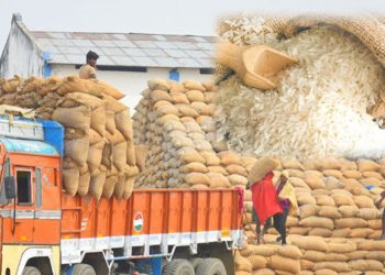 भारतले खोल्यो चामल निर्यात प्रतिबन्ध