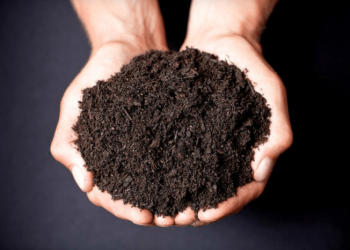 आज डिसेम्बर ५ अर्थात् विश्व माटो दिवस