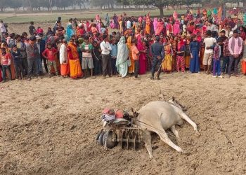बिजुलीको तार खस्दा किसानको मृत्यु