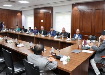 सरकारले गरे एनसेलबारे उच्चस्तरीय समिति गठन