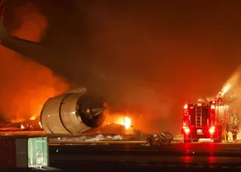 जापान विमान दुर्घटना पाँच जनाको मृत्यु