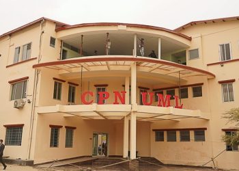 राष्ट्रिय सभा निर्वाचन : मधेशबाट उषा चौधरी र अर्जुन सिंह उम्मेदवार