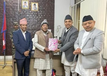 प्राकृतिक स्रोत तथा वित्त आयोगको वार्षिक प्रतिवेदन प्रदेश प्रमुख समक्ष पेस