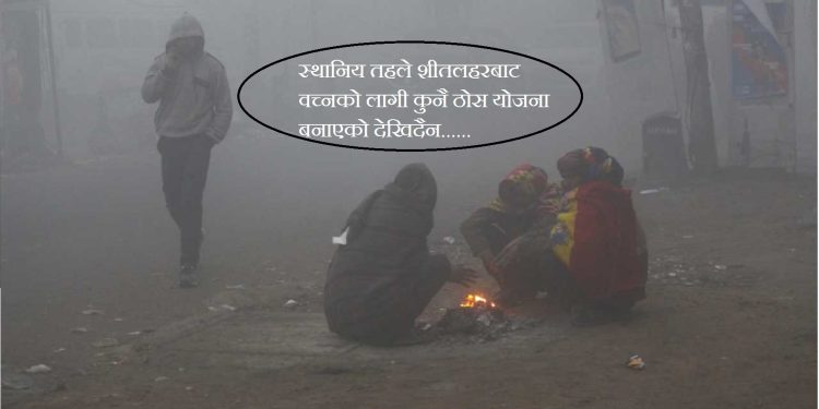 तराईका जिल्लामा शितलहरबाट जनजीवन अस्तव्यस्त, स्थानिय तहको ठोस योजना देखिदैन