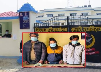 सप्तरी : पेस्तोल र गाँजासहित तीनजना पक्राउ