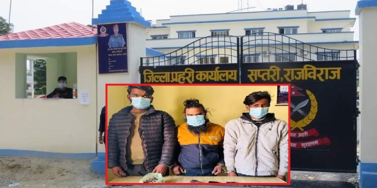 सप्तरी : पेस्तोल र गाँजासहित तीनजना पक्राउ
