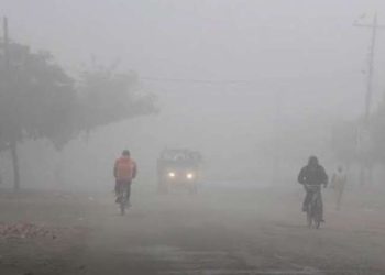 तराईमा हुस्सु र कुहिरो