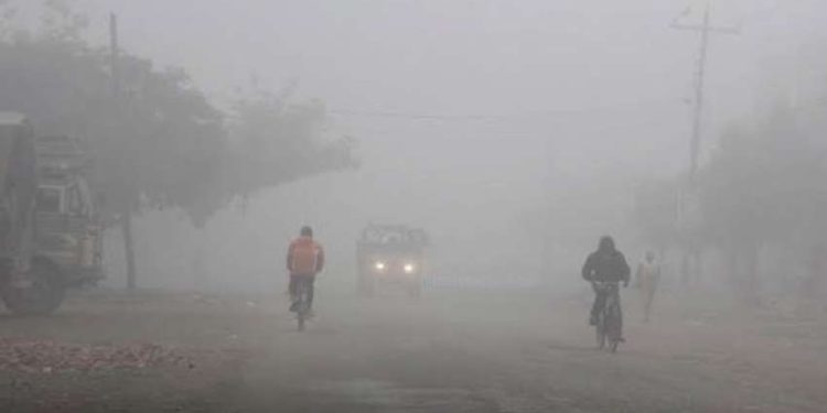 तराईमा हुस्सु र कुहिरो