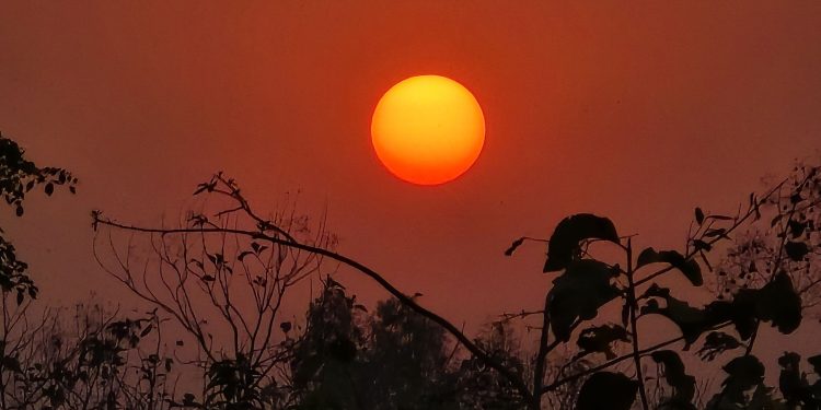 आज वैशाख १ अर्थात् नयाँ वर्ष २०८१ साल सुरु