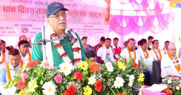 धानमा मात्र होइन खाद्यान्नमा पनि आत्मनिर्भर बनाउनुपर्छ : प्रधानमन्त्री