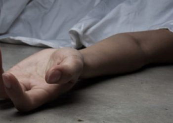 आँप टिप्दा करेन्ट लागेर किशोरको मृत्यु