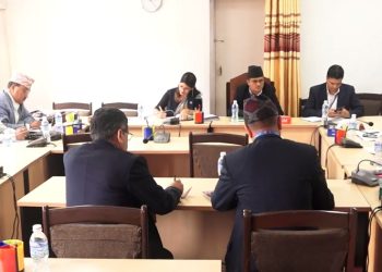 सहकारी छानबिन समितिले सीआईबी प्रमुख र आईजीपीसँग छलफल गर्ने