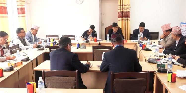 सहकारी छानबिन समितिले सीआईबी प्रमुख र आईजीपीसँग छलफल गर्ने