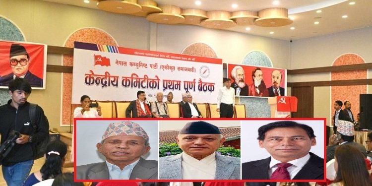 वरिष्ठ नेतामा तीन जना मनोनीत