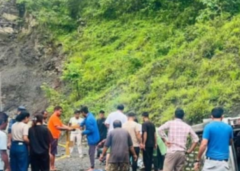 काठमाडौँबाट वीरगन्ज आउर्दै गर्दा सुमो दुर्घटना, १० घाइते