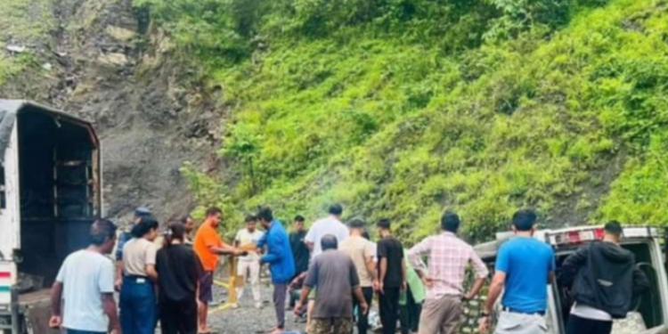 काठमाडौँबाट वीरगन्ज आउर्दै गर्दा सुमो दुर्घटना, १० घाइते