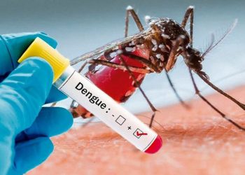 डेंगुबाट एक जनाको मृत्यु, २ हजार भन्दा बढीमा सङ्क्रमण