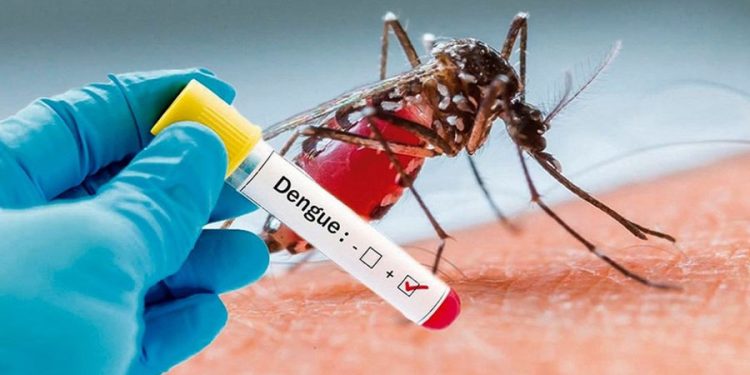 डेंगुबाट एक जनाको मृत्यु, २ हजार भन्दा बढीमा सङ्क्रमण