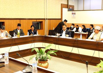 समितिले १८ देशका लागि सिफारिस राजदूतविरुद्ध उजुरी दिन गरे आह्वान