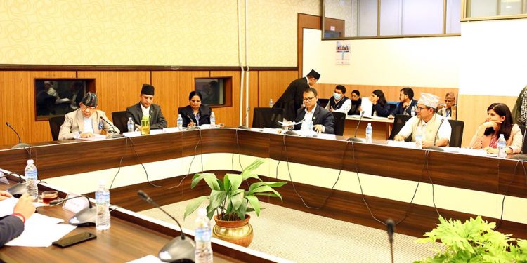 समितिले १८ देशका लागि सिफारिस राजदूतविरुद्ध उजुरी दिन गरे आह्वान