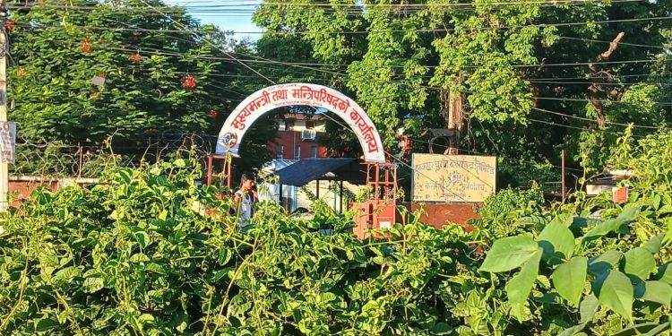 मधेश प्रदेश : भदौ ३१ गते सार्वजनिक बिदा