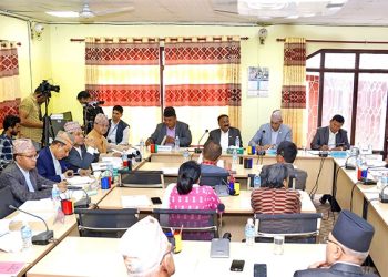 संघीय निजामती सेवा विधेयक पारित गर्ने सरकारको तयारी