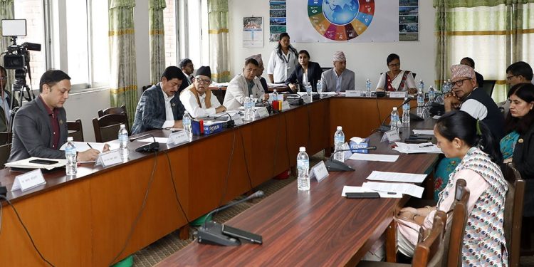 समितिले १६ देशका लागि राजदूतहरूको नाम गरे अनुमोदन