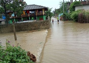 मधेस प्रदेशमा बाढीमा परेर ६ जनाको मृत्यु