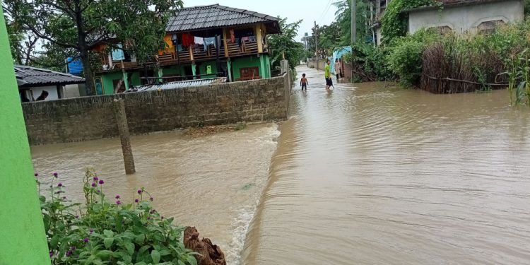मधेस प्रदेशमा बाढीमा परेर ६ जनाको मृत्यु