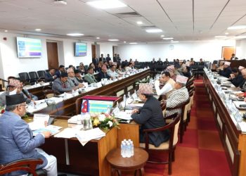 विपद्बारे राष्ट्रिय परिषद्को बैठक बस्दैं