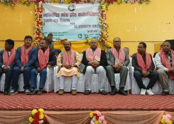 पत्रकारहरूको सुरक्षामा मधेश सरकार गम्भीर : मुख्यमन्त्री सिंह