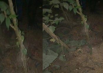 धनुषा : महिलाको हत्या, गाडेको अवस्थामा शव फेला