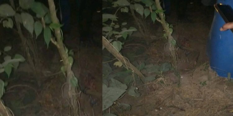 धनुषा : महिलाको हत्या, गाडेको अवस्थामा शव फेला