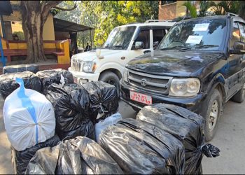 सरकारी नम्बर प्लेट भएका गाडीबाट ६९० किलो गाँजा बरामद