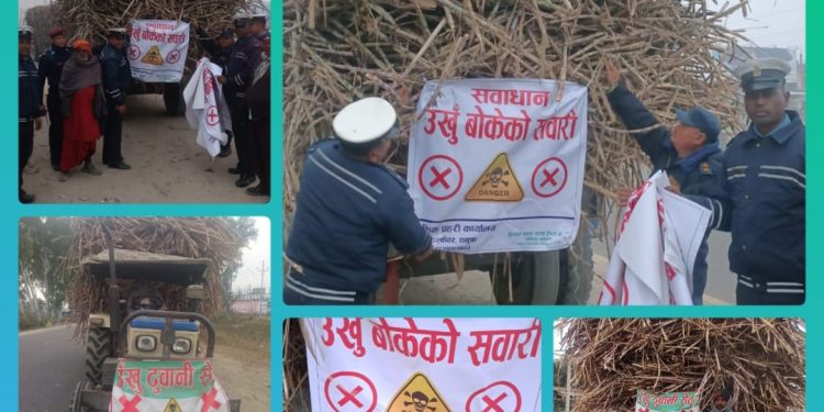 धनुषामा ट्राफिक सुरक्षा सुधार्न ट्राफिक ईन्सपेक्टर ओलीले अनौठो कदम