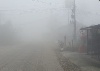 तराईमा शीतलहर र बाक्लोको कारण जनजीवन प्रभावित